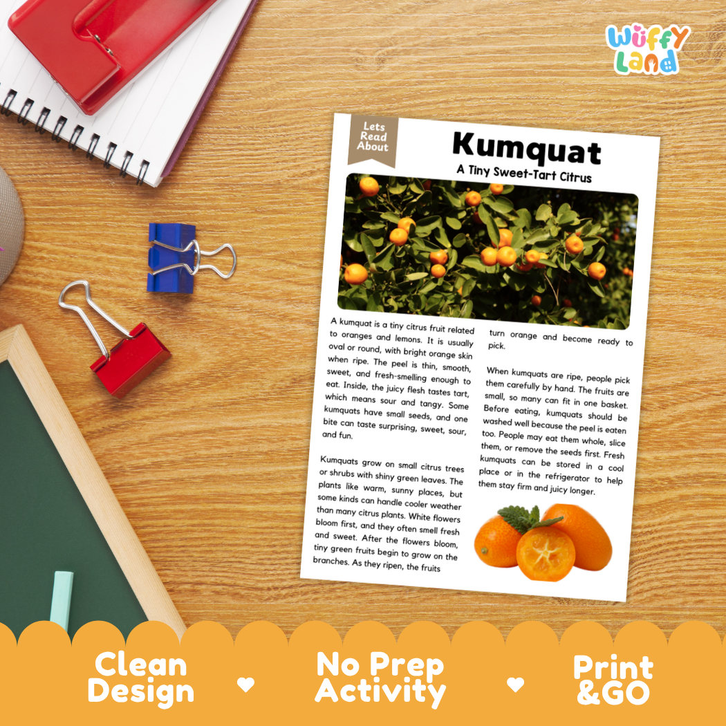 Student reading comprehension worksheet with short-answer questions and lined sections about kumquats