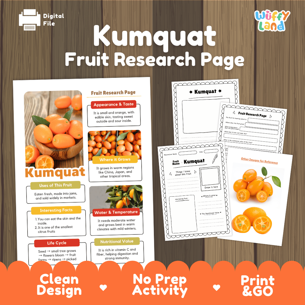Kumquat Fruit Research Page Worksheets and Fact Sheet