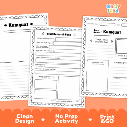 Kumquat Fruit Research Page Worksheets and Fact Sheet