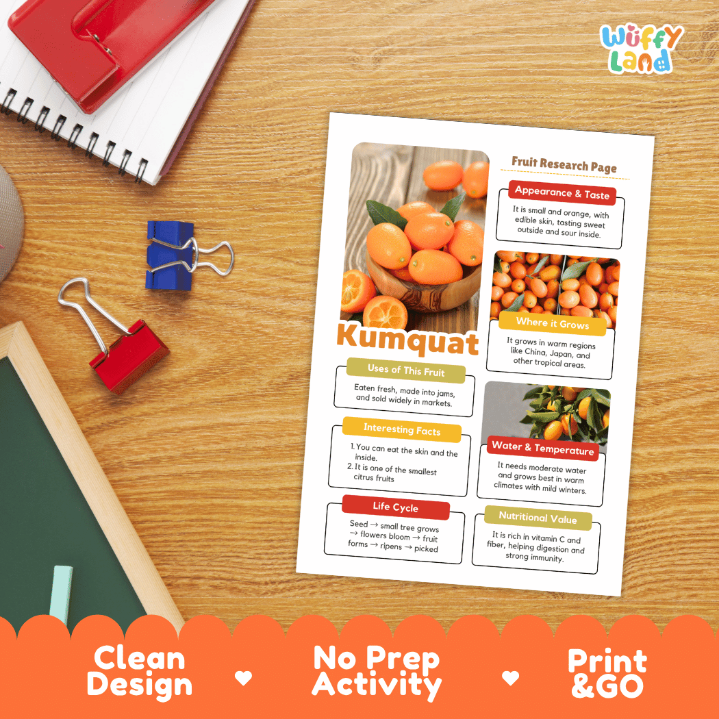 Kumquat Fruit Research Page Worksheets and Fact Sheet