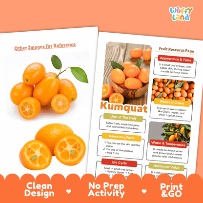 Kumquat Fruit Research Page Worksheets and Fact Sheet