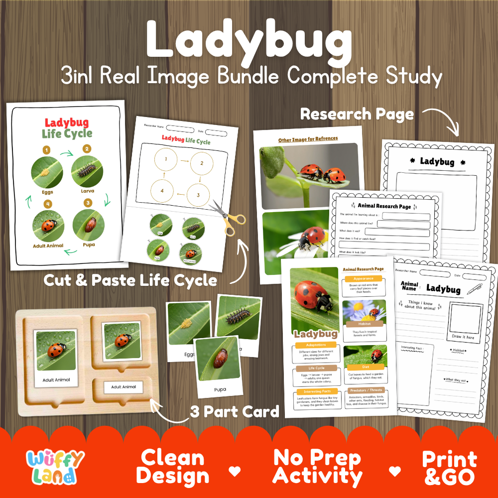 Ladybug 3-in-1 real image bundle complete study cover showing cut and paste life cycle, 3 part cards, and research pages   