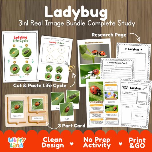 Ladybug 3-in-1 real image bundle complete study cover showing cut and paste life cycle, 3 part cards, and research pages   