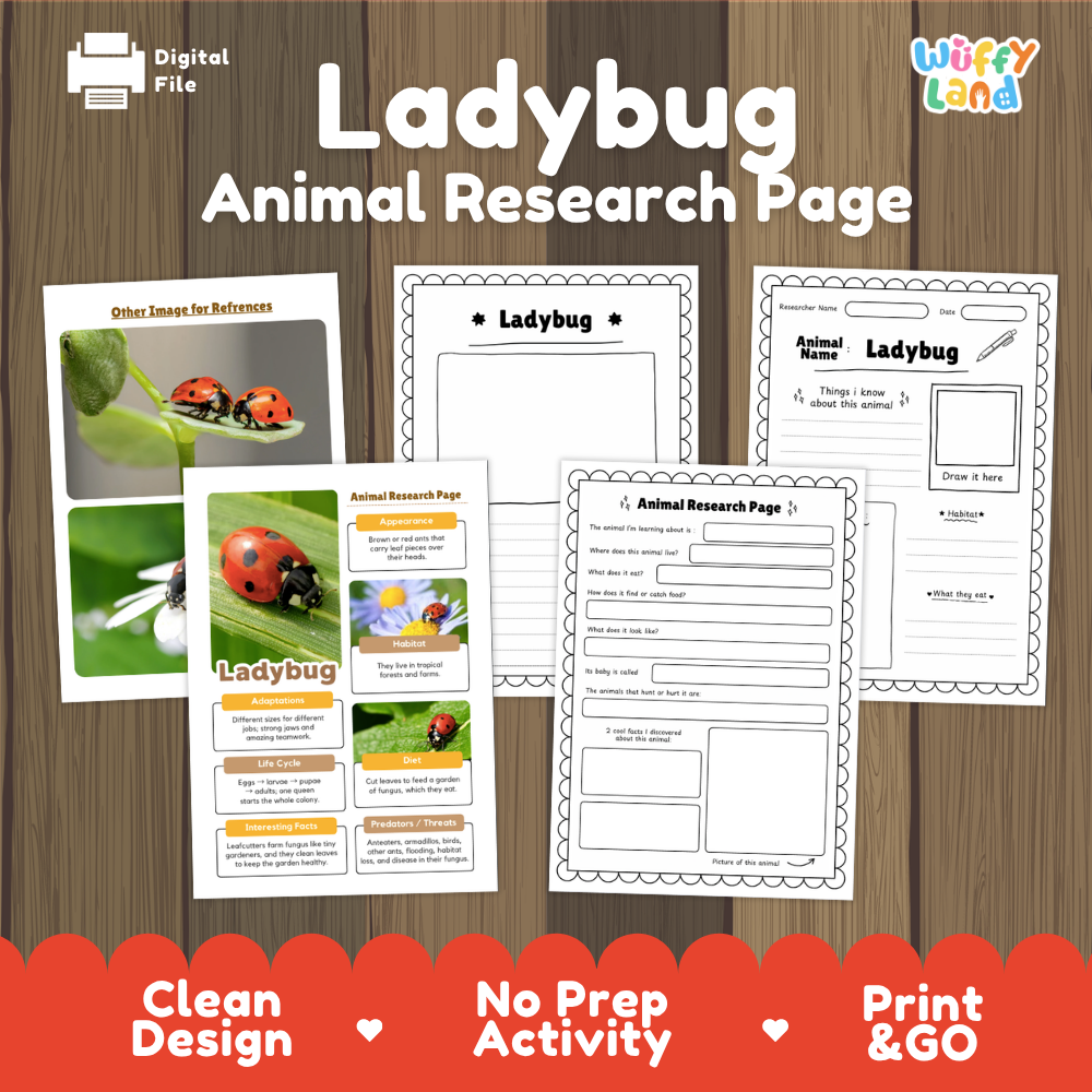 Digital preview of a Ladybug Animal Research Page activity sheet set by Wiffy Land, displayed on a wood background with product features highlighted at the bottom.
