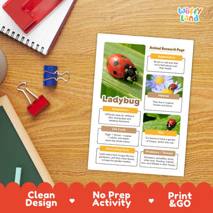 An educational 'Ladybug Animal Research Page' activity sheet displayed on a wooden desk with school supplies. The white page features colorful text, diagrams of a ladybug's life cycle, and photos of a ladybug on a leaf, a ladybug on a flower, and a close-up of a ladybug's head.