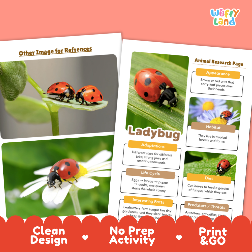 Two printed activity worksheet pages about ladybugs shown on a coral background, with promotional text reading 'Other Image for References,' 'Ladybug,' 'Clean Design,' 'No Prep Activity,' and 'Print & GO.' The pages contain photos of ladybugs on flowers and text boxes describing ladybug appearance, habitat, life cycle, diet, and predators.