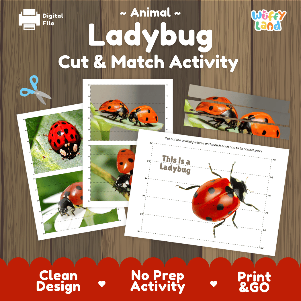 Ladybug Cut and Match Activity Printables Worksheets