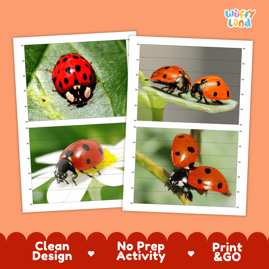 Ladybug Cut and Match Activity Printables Worksheets