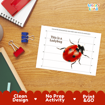 Ladybug Cut and Match Activity Printables Worksheets