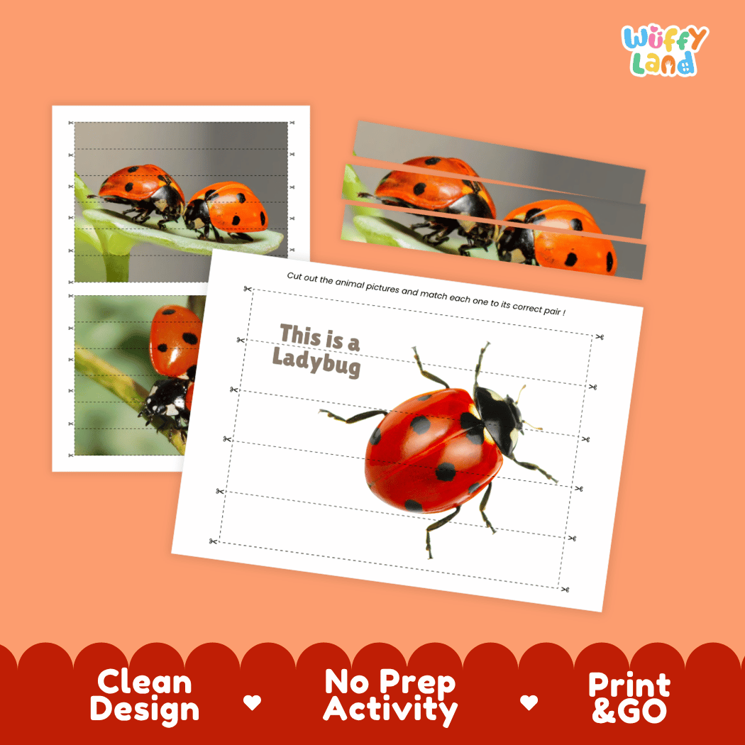 Ladybug Cut and Match Activity Printables Worksheets
