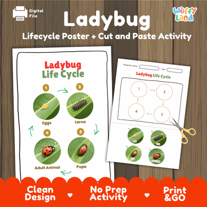 Ladybug Lifecycle Poster and Cut and Paste Activity Worksheets | Animal Science Printables