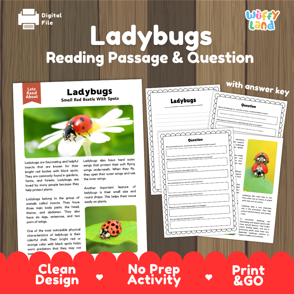 Digital reading activity sheet set for 'Ladybugs' by Wiffly Land, featuring a reading passage, worksheet questions, and an answer key on a wood background with promotional text banners.
