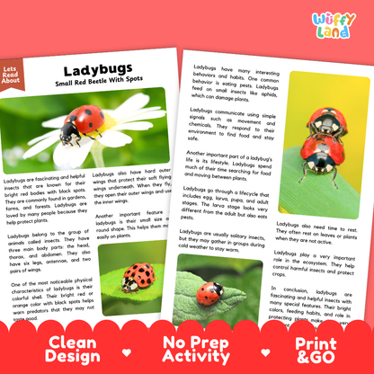 An educational poster about ladybugs, featuring a large close-up of a red and black ladybug on the right, a smaller ladybug on a plant on the left, and text explaining ladybug facts. The top has a white background with a pink 'Wuff!fy land' logo, and the bottom has a red banner with the words 'Clean', 'No Prep Activity', and 'Print & GO'.