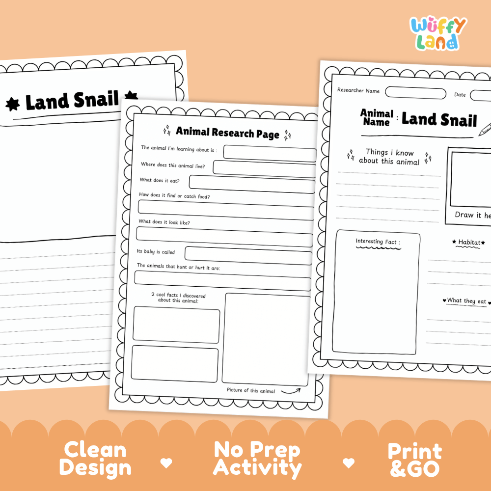 Land Snail Animal Research Page Worksheets and Fact Sheet
