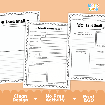 Land Snail Animal Research Page Worksheets and Fact Sheet