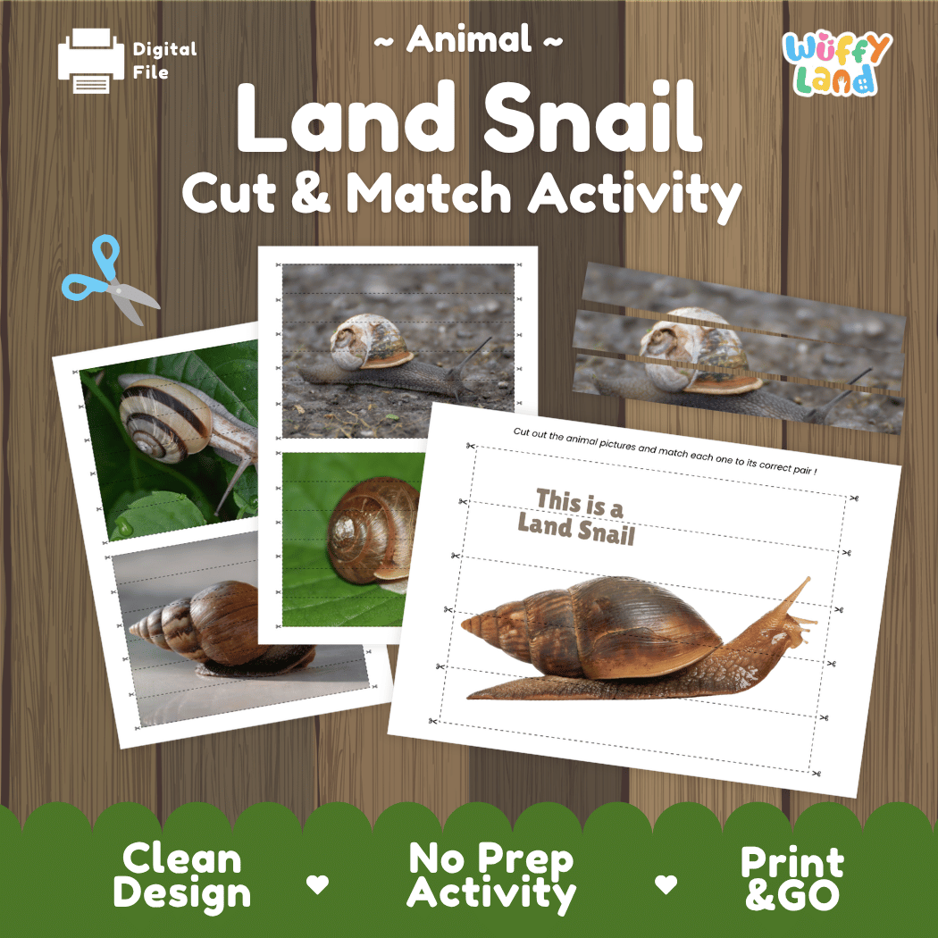 Land Snail Cut and Match Activity Printables Worksheets