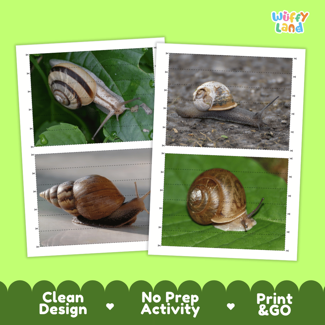 Land Snail Cut and Match Activity Printables Worksheets