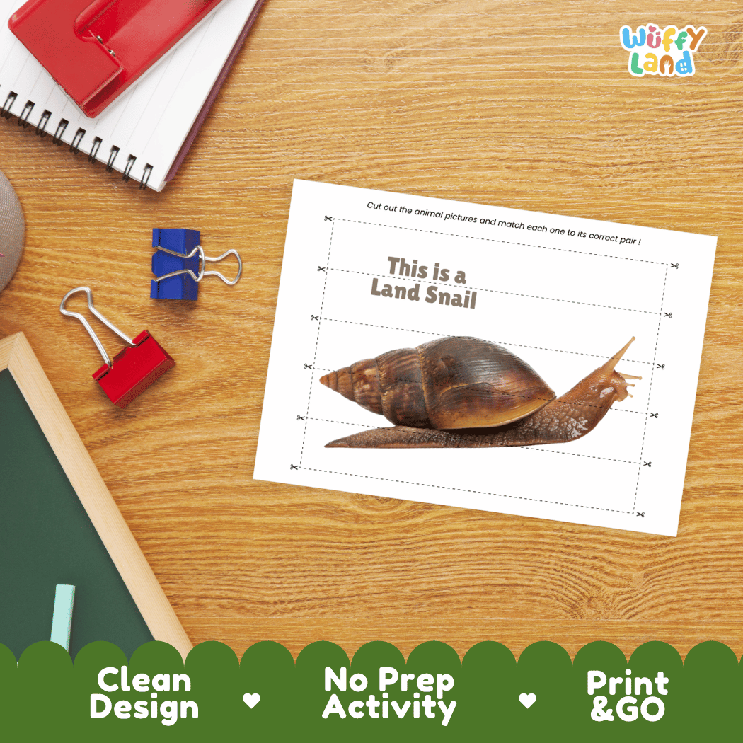Land Snail Cut and Match Activity Printables Worksheets