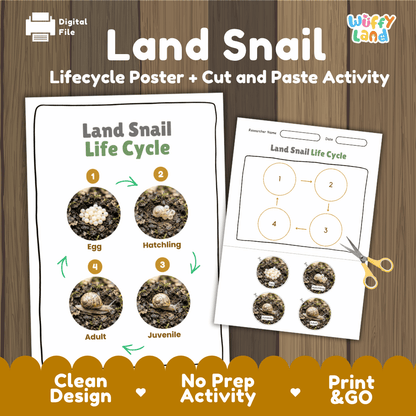 Land Snail Life Cycle Poster and Cut and Paste Activity Worksheets