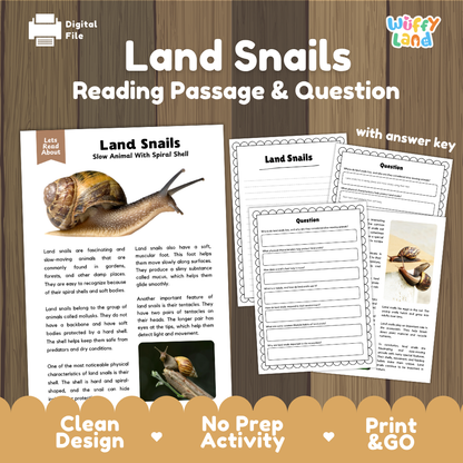 Land Snails Reading Passage and Comprehension Questions Worksheets