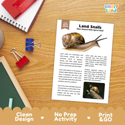 Land Snails Reading Passage and Comprehension Questions Worksheets