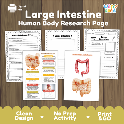 Large intestine human body research page cover showing printable research worksheets, information cards, and reference sheets