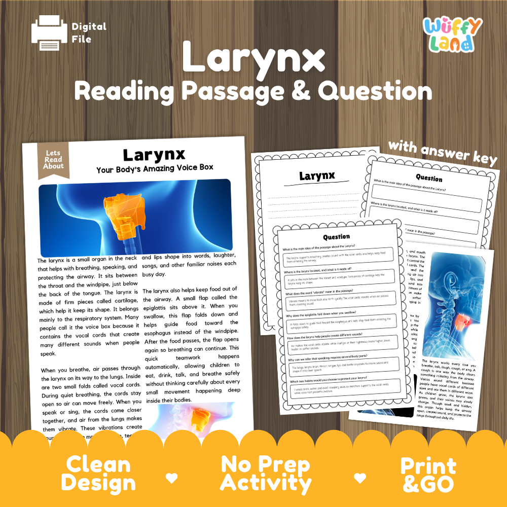 Larynx reading comprehension passage and questions printable activity pack with answer key for elementary students