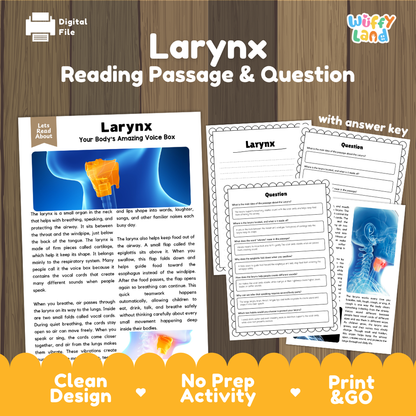 Larynx reading comprehension passage and questions printable activity pack with answer key for elementary students