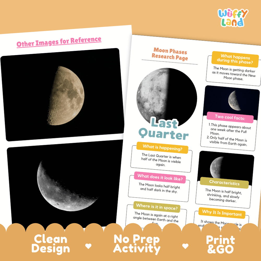 Last Quarter Moon Solar System Research Project Worksheets and Fact Sheet