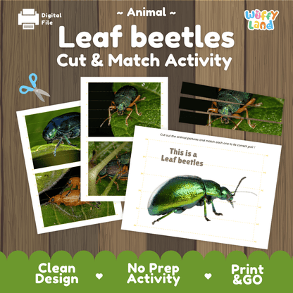 Leaf Beetles Cut and Match Activity Printables Worksheets