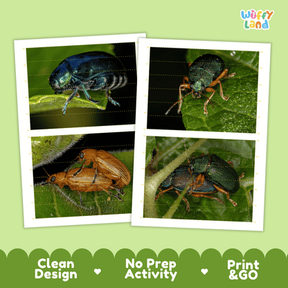 Leaf Beetles Cut and Match Activity Printables Worksheets