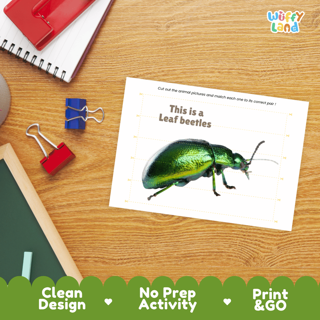 Leaf Beetles Cut and Match Activity Printables Worksheets