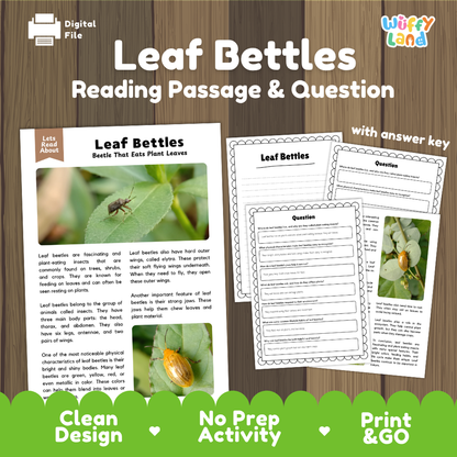Leaf Beetles Reading Passage and Comprehension Questions Worksheets