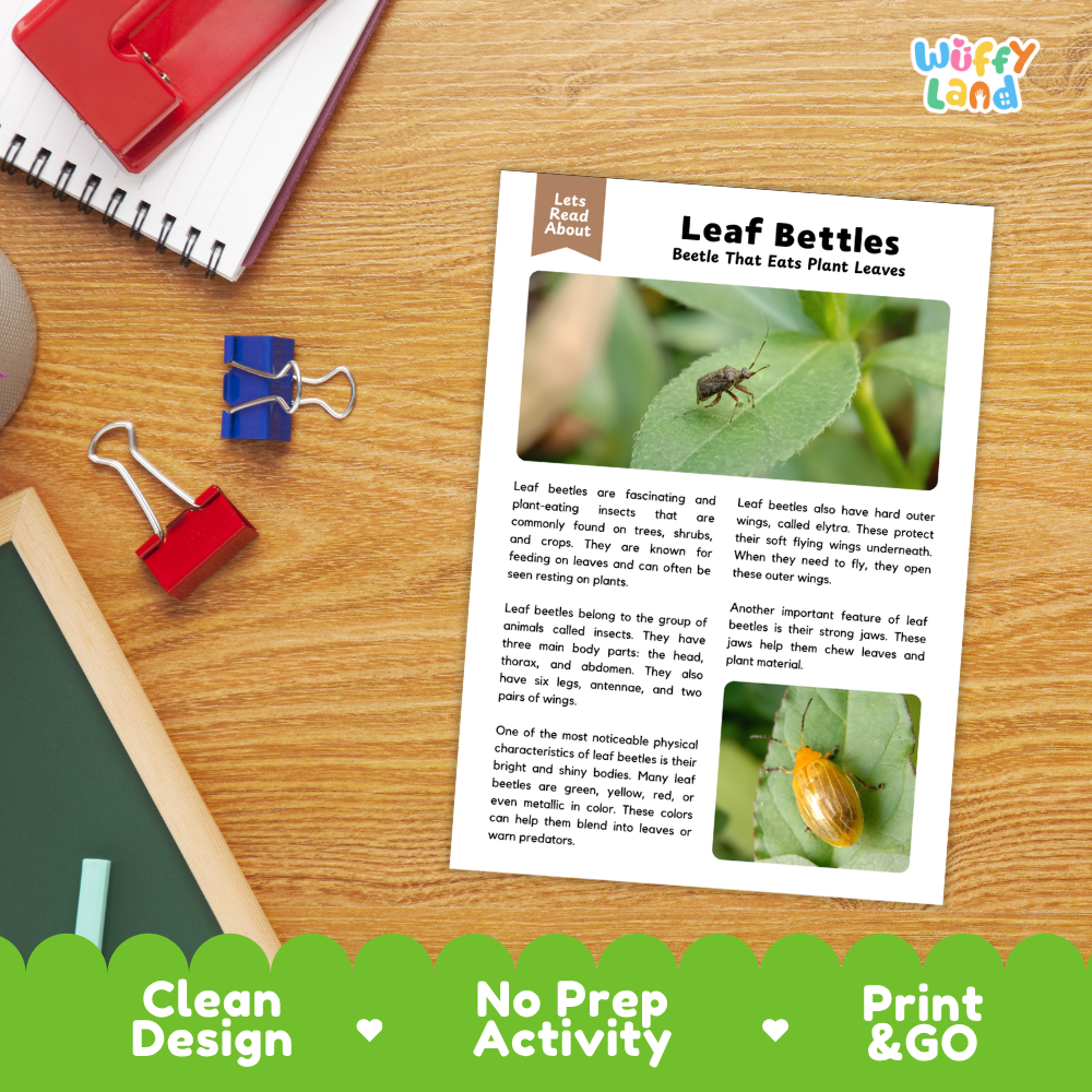 An educational activity sheet titled 'Leaf Beetles Beetle That Eats Plant Leaves' by Wiffly Land, displayed on a wooden desk with a spiral notebook, red binder clips, and a green promotional banner at the bottom.