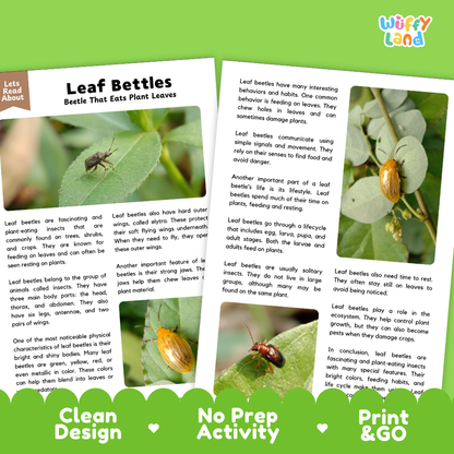 Three printed leaflet pages about leaf beetles arranged on a white background. The pages show colorful text, small illustrations, and one inset photo of leaf beetles in a natural setting.