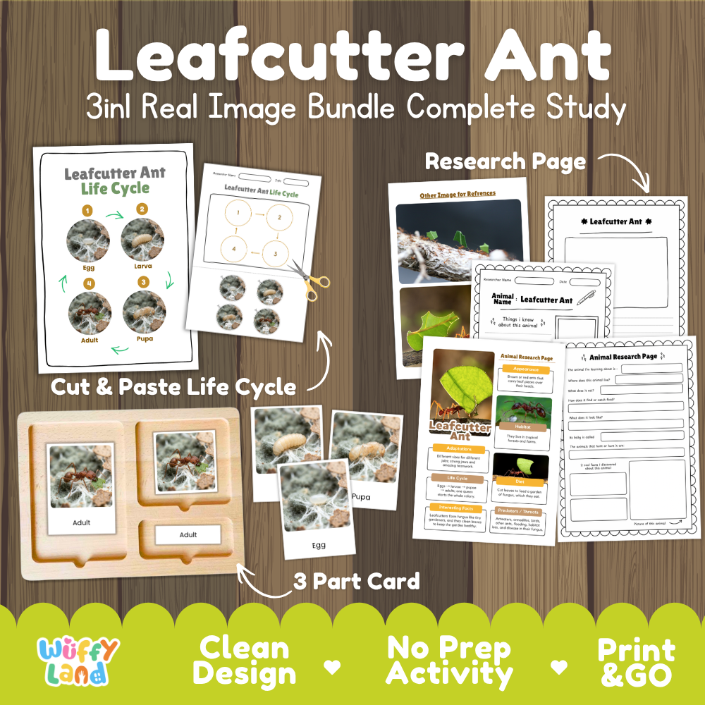 Leafcutter Ant 3-in-1 real image bundle complete study cover showing cut and paste life cycle, 3 part cards, and research pages