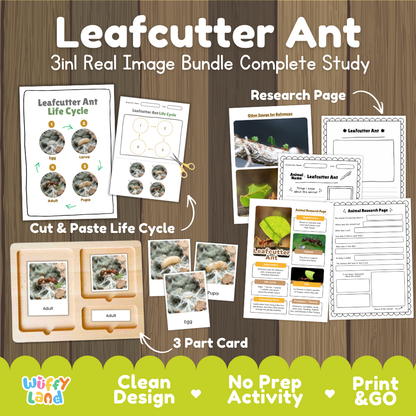 Leafcutter Ant 3-in-1 real image bundle complete study cover showing cut and paste life cycle, 3 part cards, and research pages