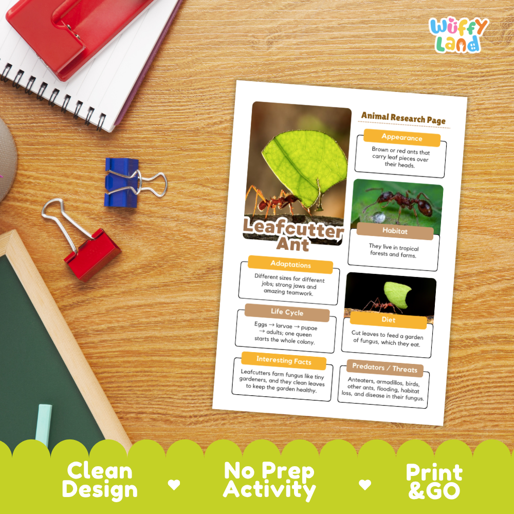 Leafcutter Ant Animal Research Page Worksheets