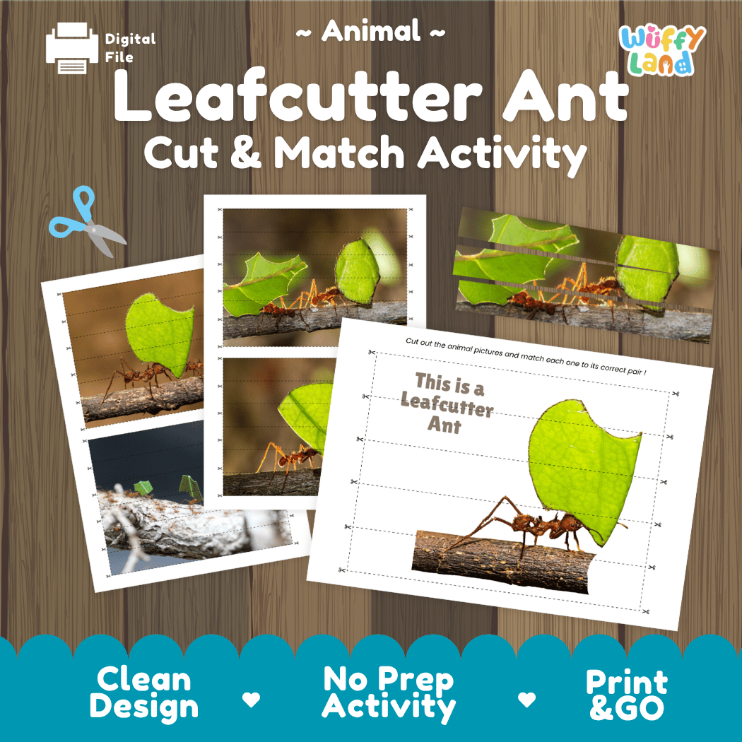 Leafcutter Ant Cut and Match Activity Printables Worksheets