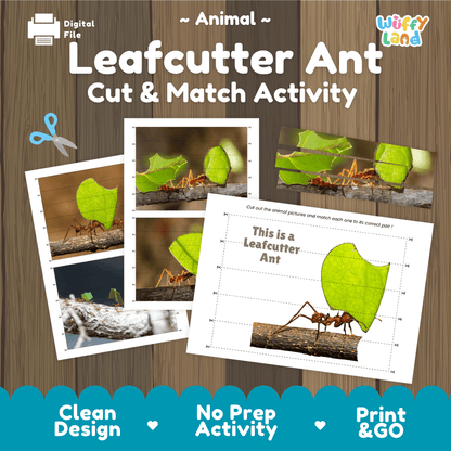 Leafcutter Ant Cut and Match Activity Printables Worksheets