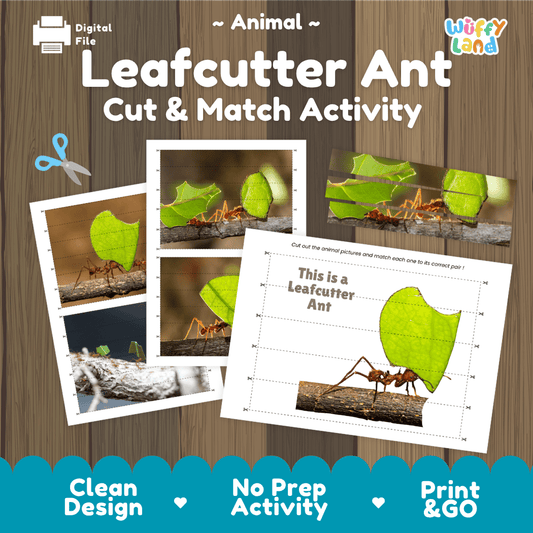Leafcutter Ant Cut and Match Activity Printables Worksheets