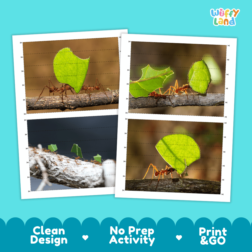 Leafcutter Ant Cut and Match Activity Printables Worksheets