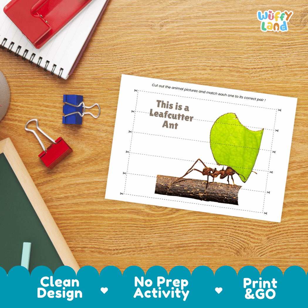 Leafcutter Ant Cut and Match Activity Printables Worksheets