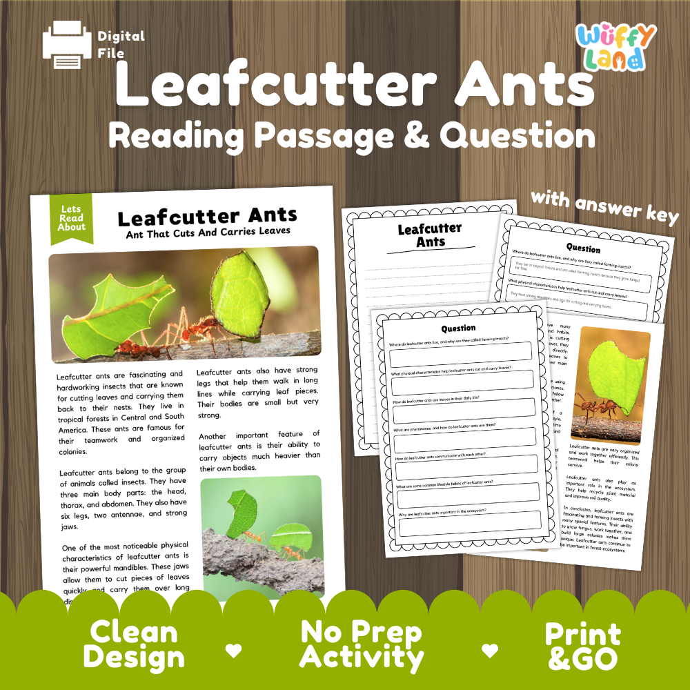 Leafcutter Ants Reading Passage and Comprehension Questions Worksheets