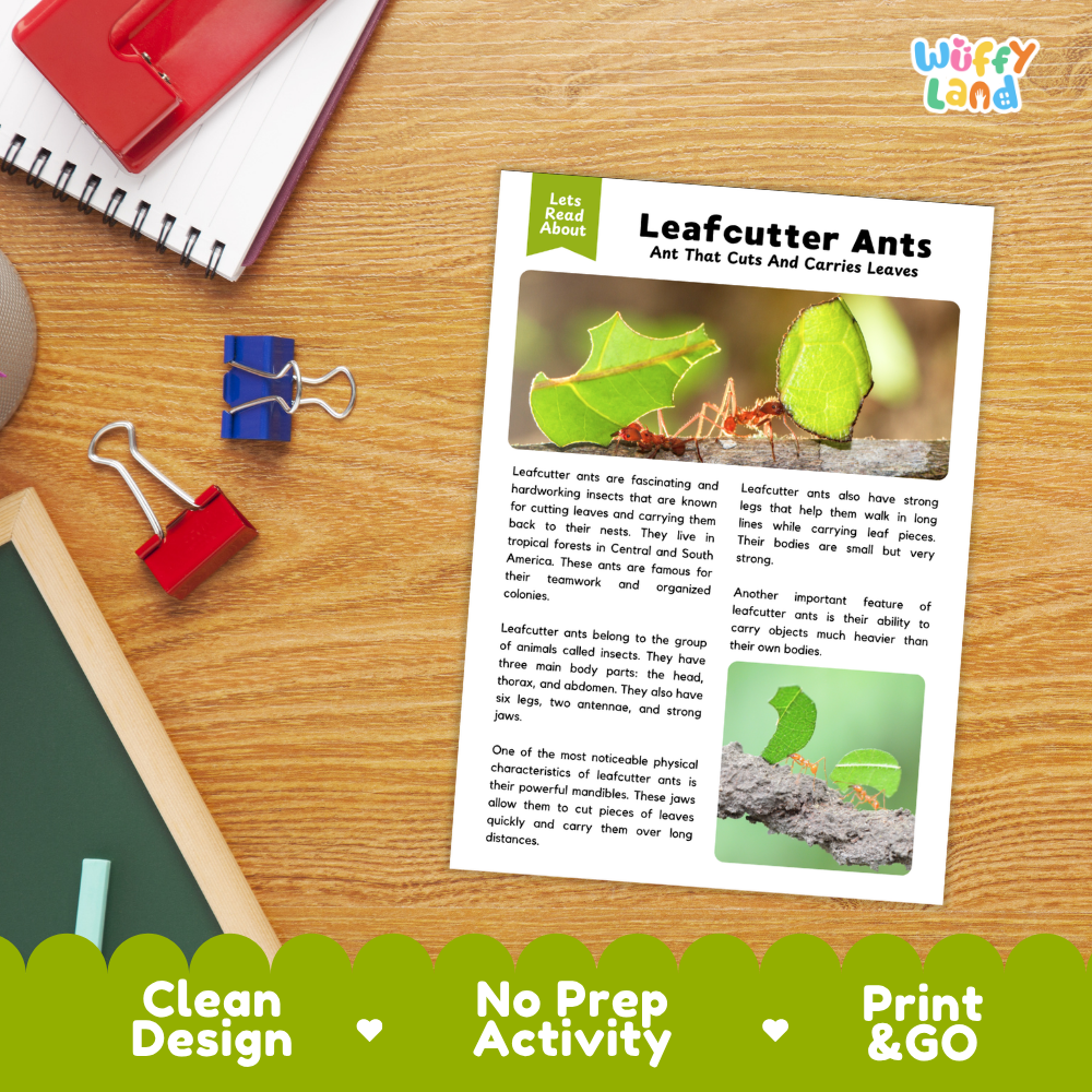 Leafcutter Ants Reading Passage and Comprehension Questions Worksheets