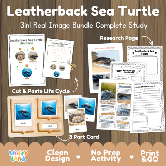 Leatherback sea turtle 3-in-1 real image bundle complete study cover showing cut and paste life cycle, 3 part cards, and research pages
