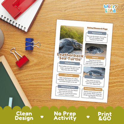 Leatherback Sea Turtle Animal Research Pages and Worksheets