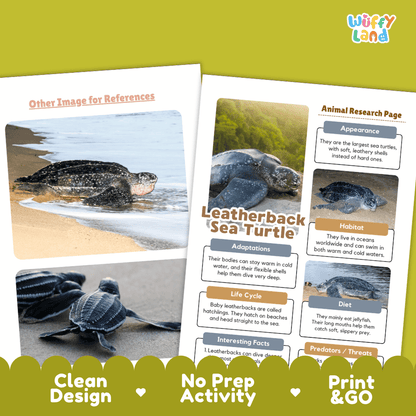 Leatherback Sea Turtle Animal Research Pages and Worksheets