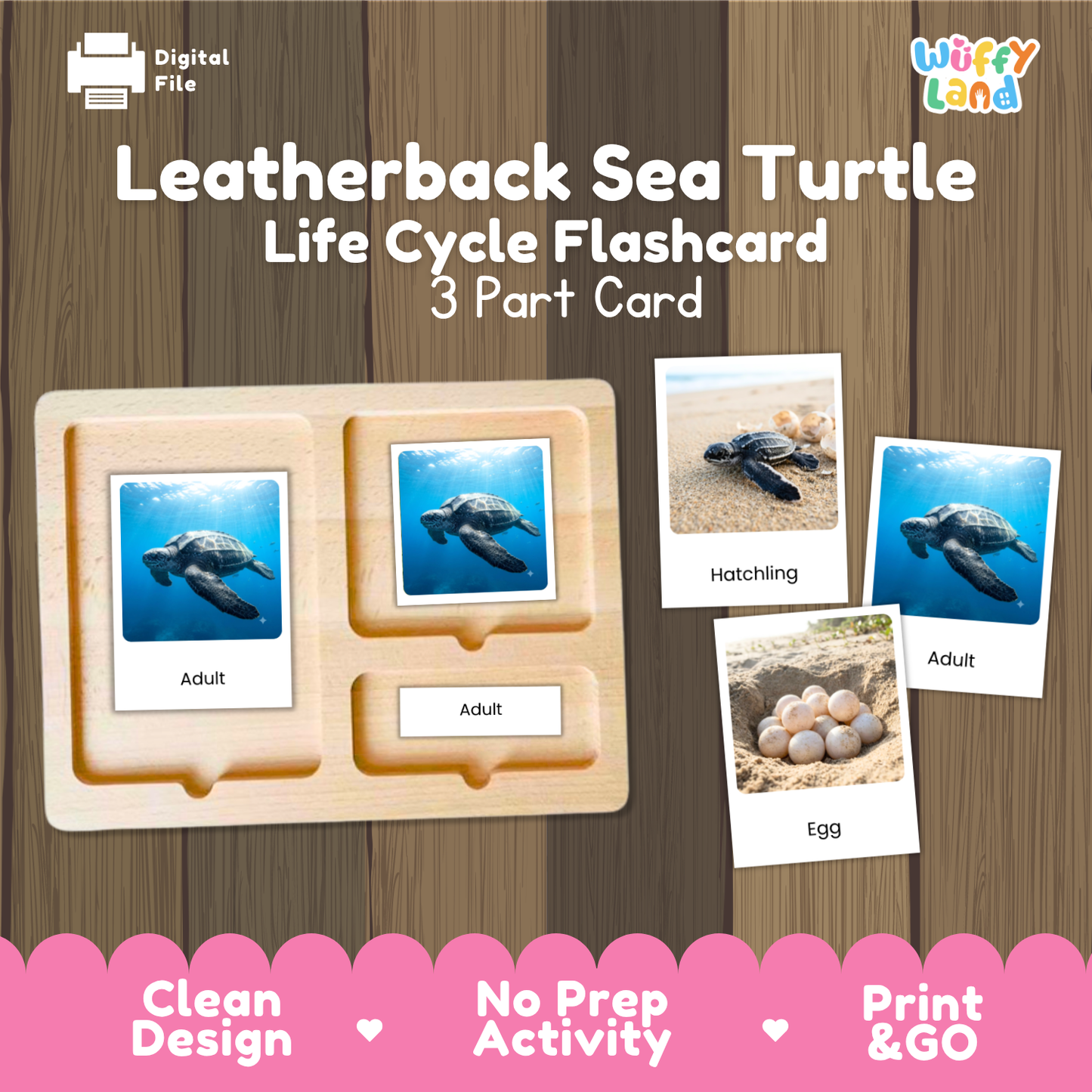 Leatherback Sea Turtle Life Cycle Flashcards 3 Part Cards Montessori Science Activity
