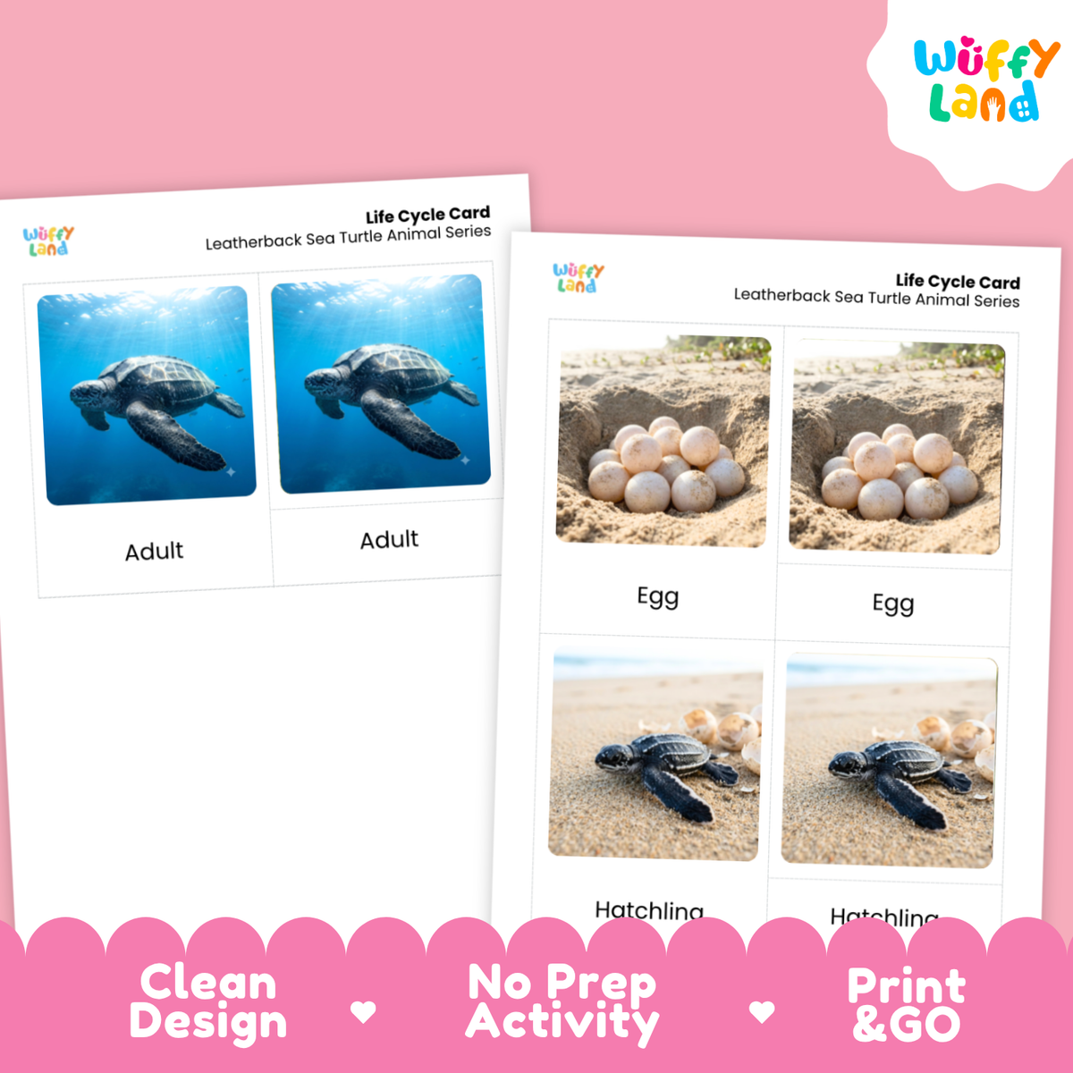 Leatherback Sea Turtle Life Cycle Flashcards 3 Part Cards Montessori Science Activity